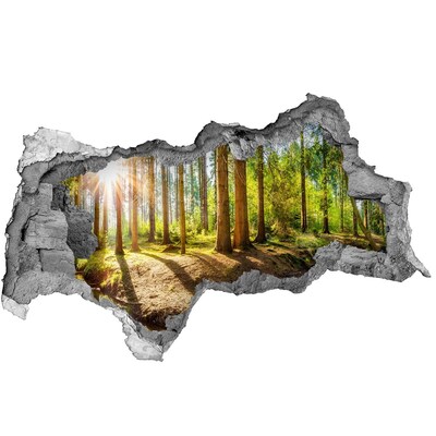 Hole in the wall sticker A forest oasis of peace