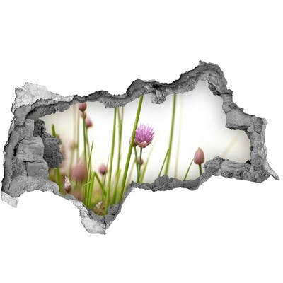 Hole wall sticker Flower garden through a hole in the wall