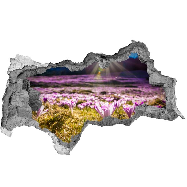 Hole wall sticker A flower field in the sunshine