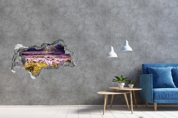Hole wall sticker A flower field in the sunshine