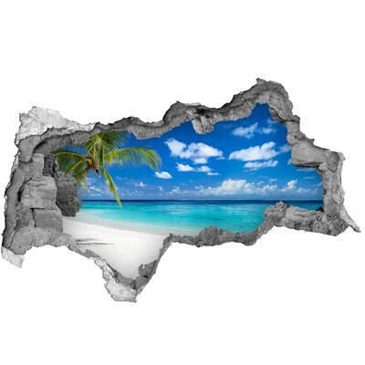 Hole in the wall sticker Tropical beach with palm trees