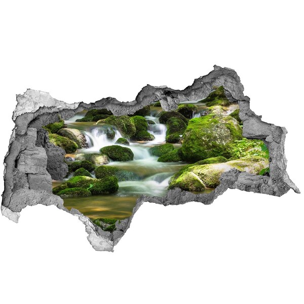 Hole in the wall decal Waterfall in the green forest
