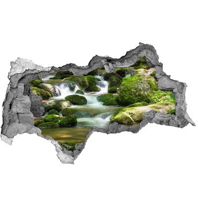 Hole in the wall decal Waterfall in the green forest