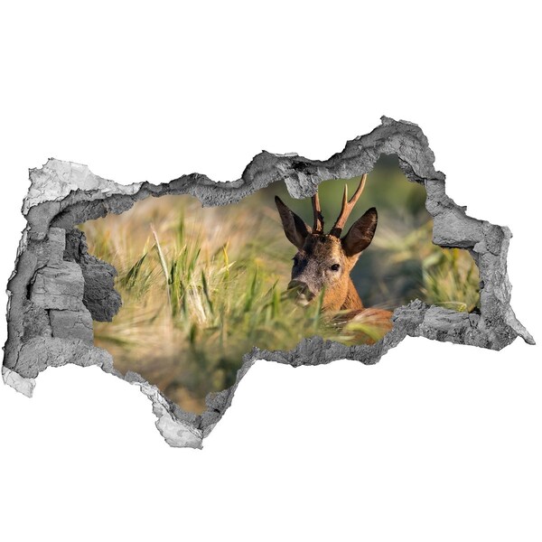Hole wall sticker Roe deer in a forest landscape