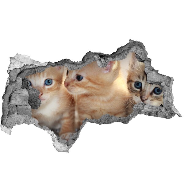 Hole wall sticker Kittens in a hole in the wall