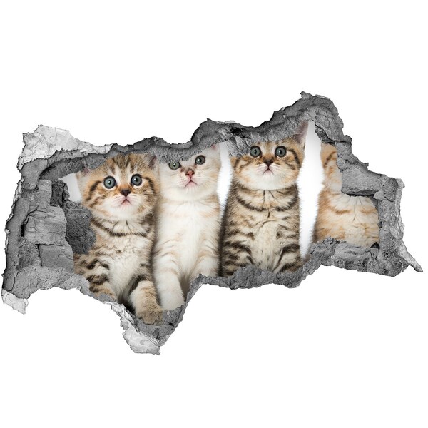 Hole in the wall sticker Little cats