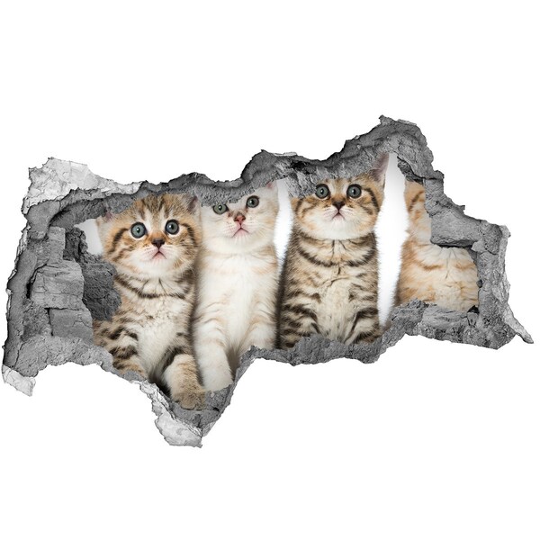 Hole in the wall sticker The cat trio behind the hole in the wall