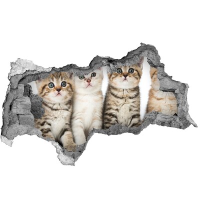 Hole in the wall sticker The cat trio behind the hole in the wall