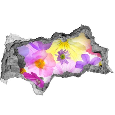 Hole wall sticker Flower Paradise Through a Hole in the Wall