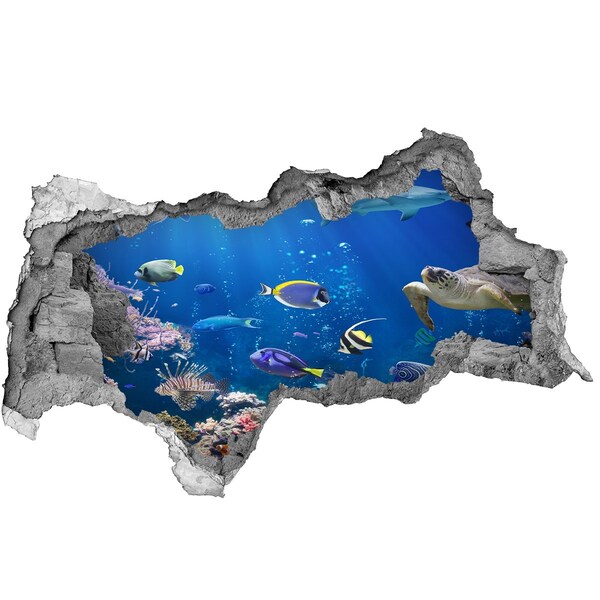Hole in the wall sticker An underwater world full of fish
