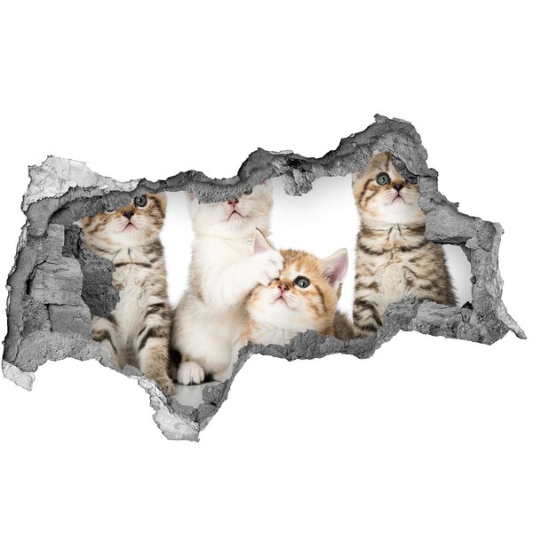 Hole in the wall sticker Kittens in a hole in the wall