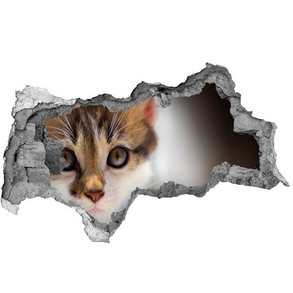 Hole wall sticker Cat in a hole in the wall
