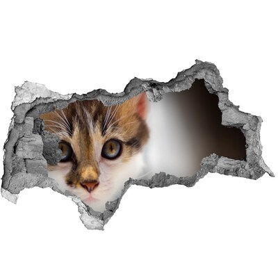 Hole wall sticker Cat in a hole in the wall