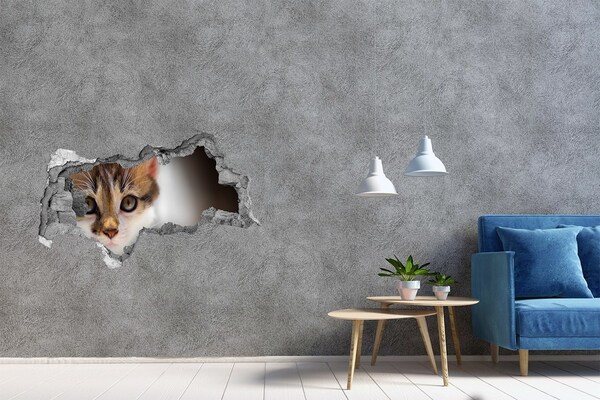 Hole wall sticker Cat in a hole in the wall