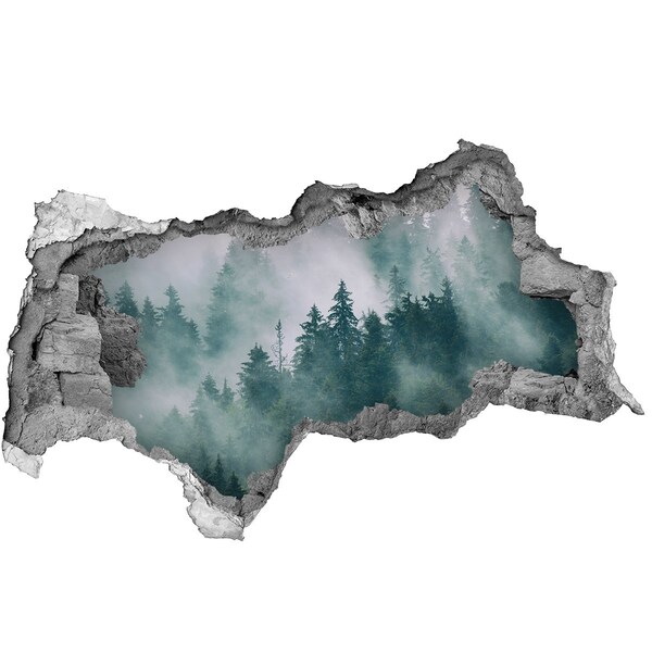Hole in the wall decal Green forest in the clouds