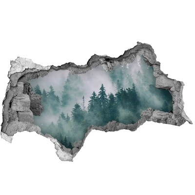 Hole in the wall decal Green forest in the clouds