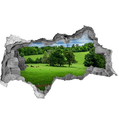 Hole wall sticker Green meadow with trees