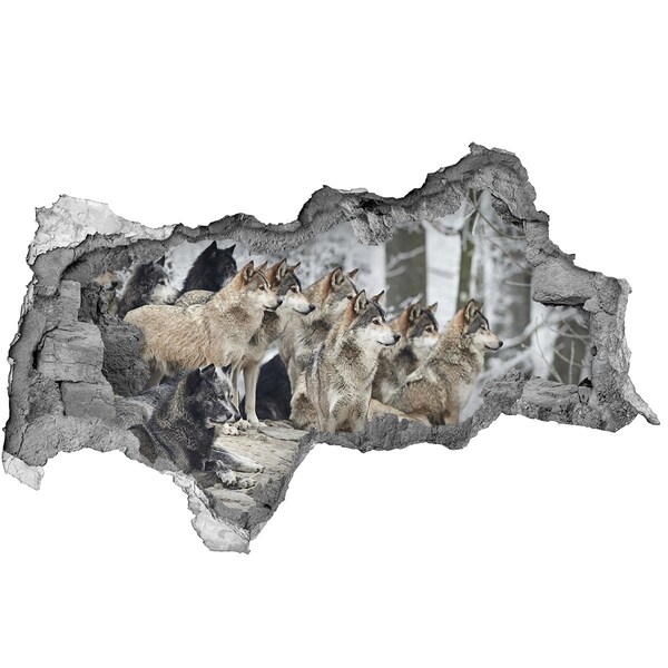 Hole in the wall decal Wolves sticker in winter