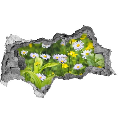 Hole in the wall sticker A flower paradise behind the wall