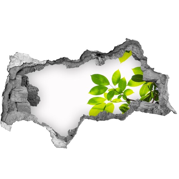 Hole in the wall sticker A green oasis behind the wall