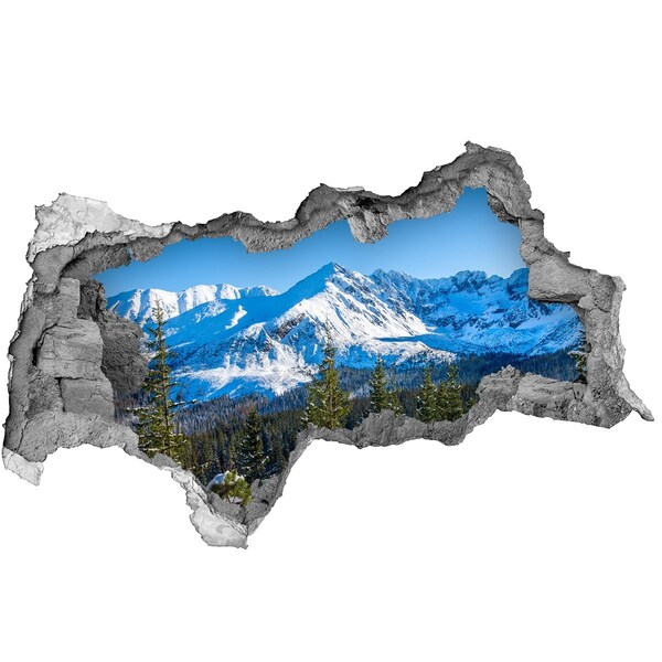 Hole in the wall decal Winter mountain landscape