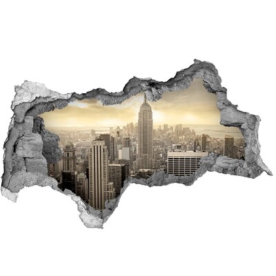 Hole wall sticker View of New York