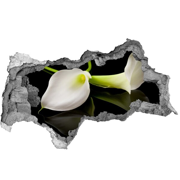 Hole in the wall decal Flower in concrete