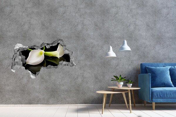 Hole in the wall decal Flower in concrete