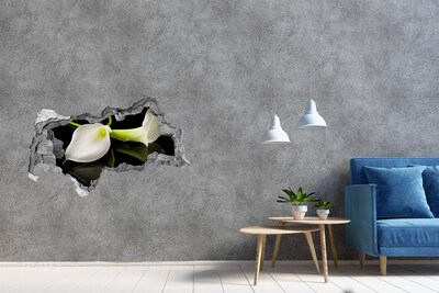 Hole in the wall decal Flower in concrete