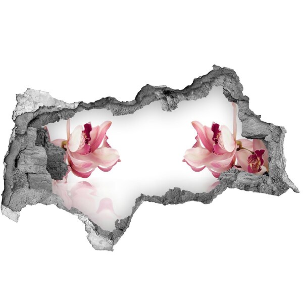 Hole wall sticker Orchid