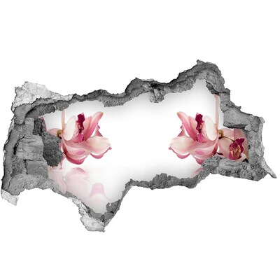 Hole wall sticker Orchid