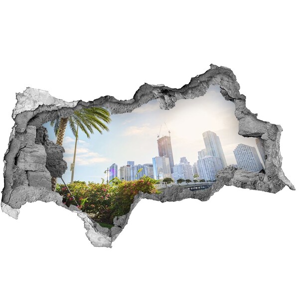 Hole in the wall sticker Miami USA