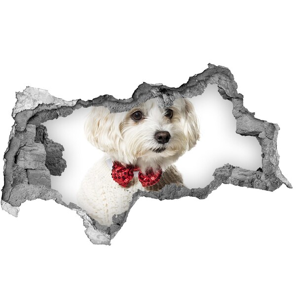Hole wall sticker Dog in a sweater through a hole in the wall