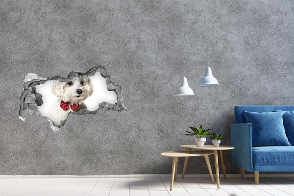 Hole wall sticker Dog in a sweater through a hole in the wall