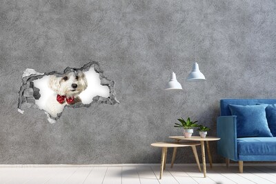 Hole wall sticker Dog in a sweater through a hole in the wall