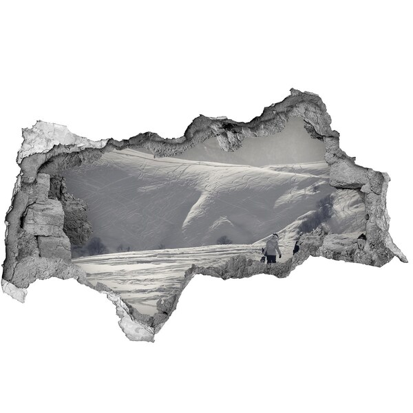 Hole wall sticker Winter mountain landscape
