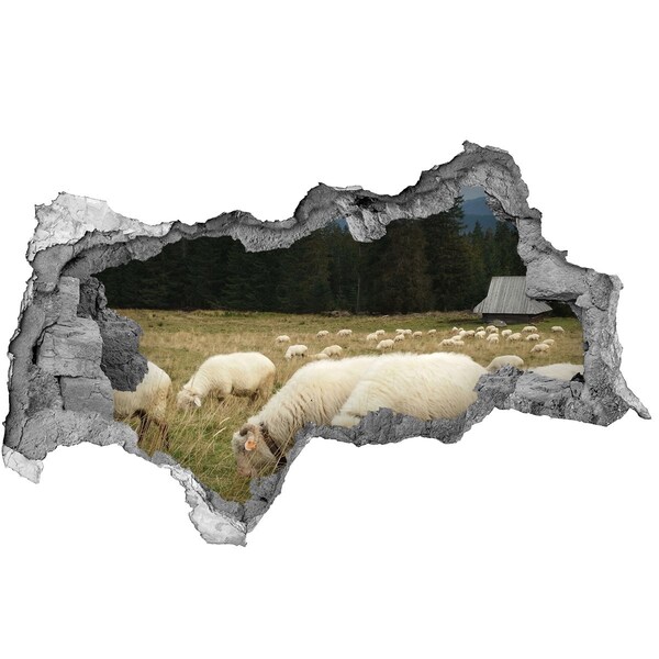 Hole in the wall decal Grazing sheep