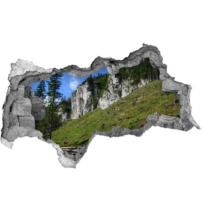 Hole in the wall decal Mountain landscape through a hole in the wall