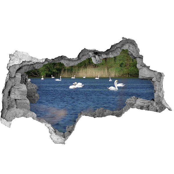 Hole wall sticker Lake with swans