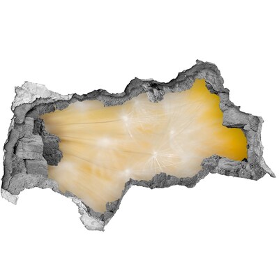 Hole in the wall decal Floral space behind the wall