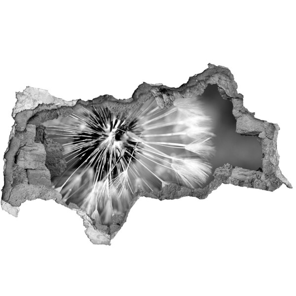 Hole in the wall decal Dandelions in black and white