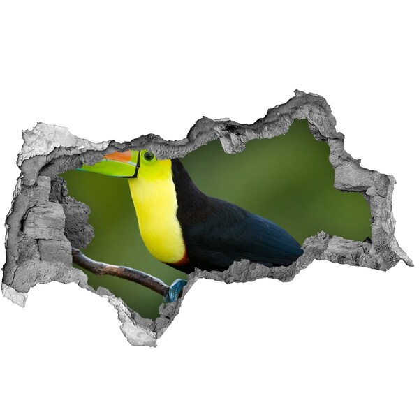 Hole in the wall decal Toucan in a tropical forest