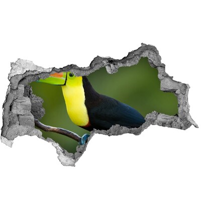 Hole in the wall decal Toucan in a tropical forest
