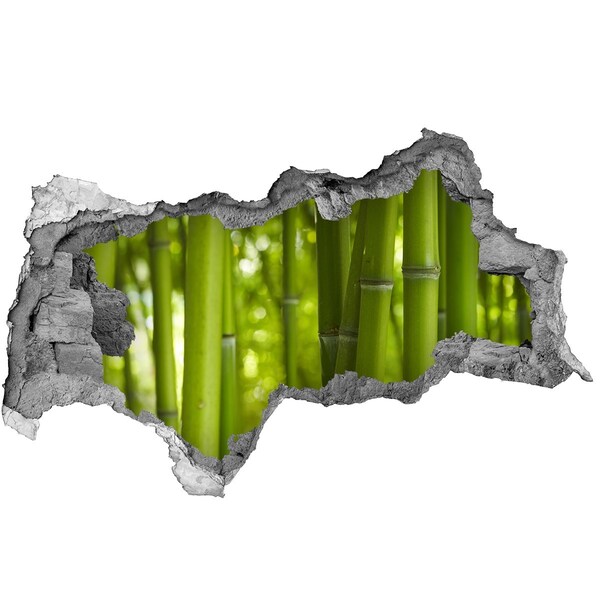 Hole in the wall sticker Green bamboo grove