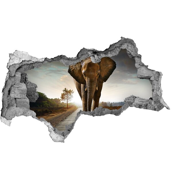 Hole wall sticker Elephant on the road in the jungle