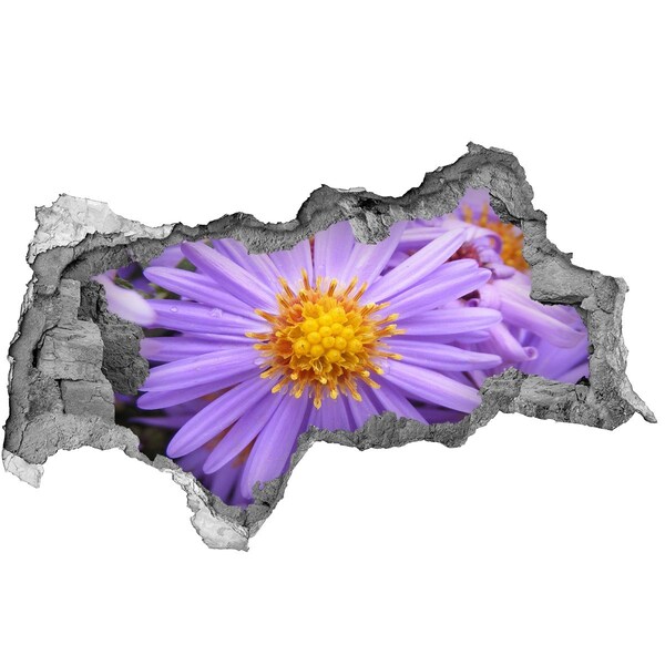 Hole in the wall sticker Flower in concrete