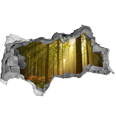 Hole in the wall sticker Forest Oasis of Light