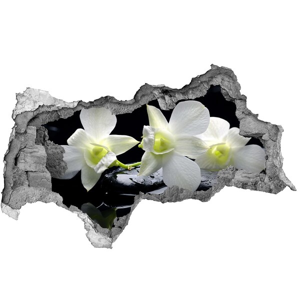 Hole wall sticker Orchid