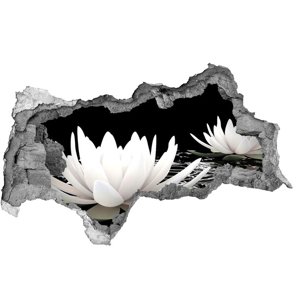 Hole in the wall decal Water flowers in a mysterious pond