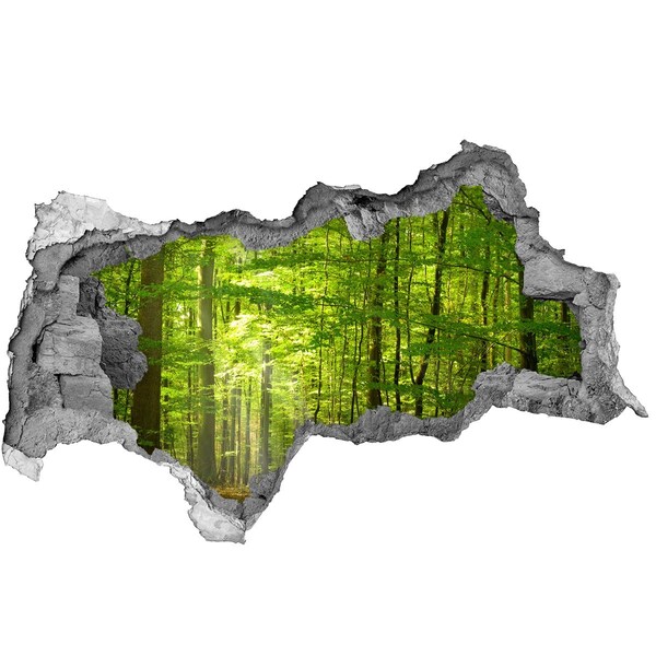 Hole in the wall decal Green forest in the sunlight